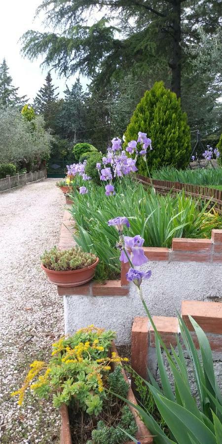 I Pini House Villa Magione Luaran gambar
